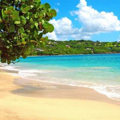 ag入口官网登录