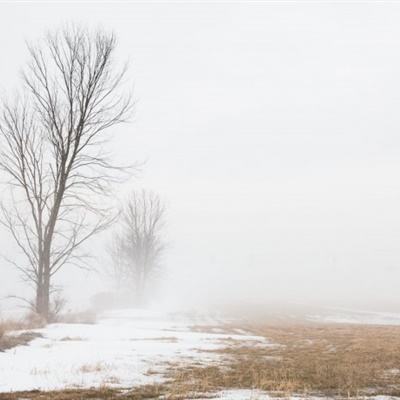 m6米乐官方网站登录入口APP下载